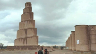 466F467E 9416 4DEE 8778 691D67E44937