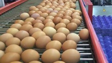 46F57BBC 732E 4D2D 8CF4 46865B1F0544