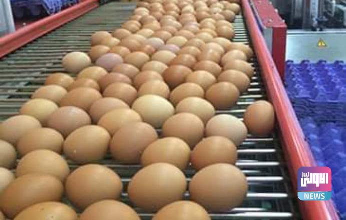 46F57BBC 732E 4D2D 8CF4 46865B1F0544