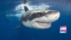 49008761 0D08 4E2C 99A1 0D881ACE1E2B