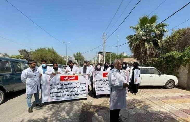 4DBE4FCA E709 4326 A85D 6CCC569063FB