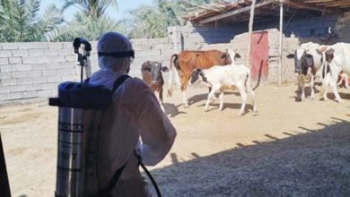 511CFEFE 89B8 4773 BB39 EE528ED867C4