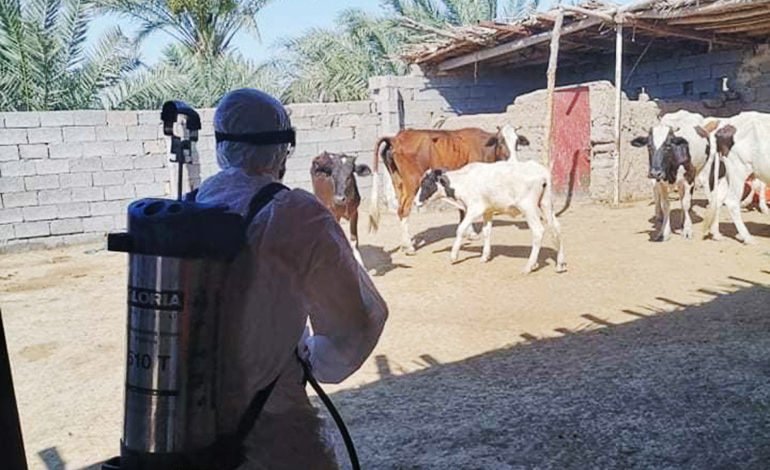 511CFEFE 89B8 4773 BB39 EE528ED867C4