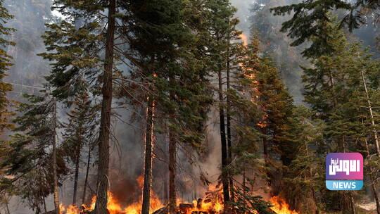 613071274236044daf4f1526