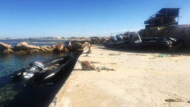 61348d2a423604260b70233f