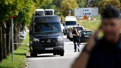 6137517e42360446724f3c93