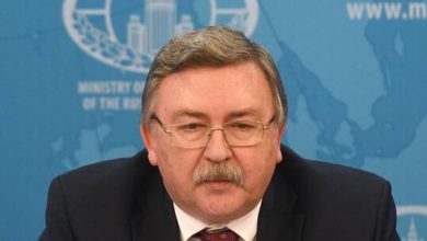 613801674236046fe5253e17