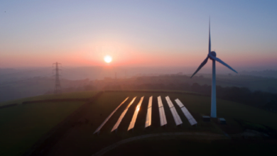 613ed5d24c59b7769d5d88d0