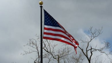 614aa4dd4c59b75a683252e3