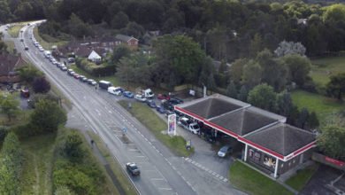 6154b5b34c59b77c7f048c49