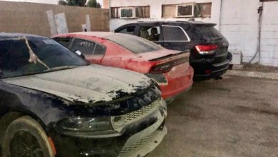 64198804 1804 4151 9677 3B853BD38FC8