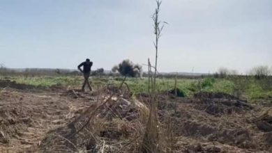 66788346 5E51 4234 8AFF 99440C7C9B2C