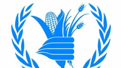 6E4B2720 1156 4620 B048 F2C3415070B4