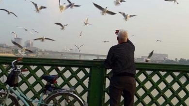 78AF2720 FE47 4778 9549 BADBE0F97FD7