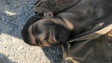 79615B7D 2EFC 47EB 82A8 7B0D82157866