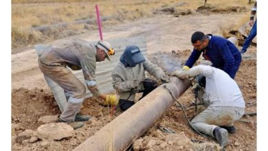 7CABE686 3D60 4244 B09A 15BA288F0288