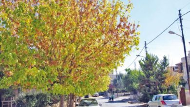 815061FA 40F7 48A6 82C1 EBF1DE97262F