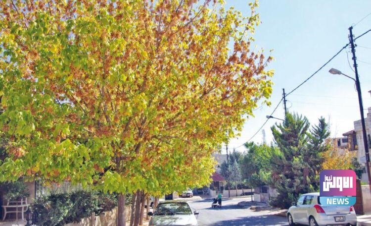 بشرى بحلول اجواء الخريف على العراق خلال ايام 1 815061FA 40F7 48A6 82C1 EBF1DE97262F