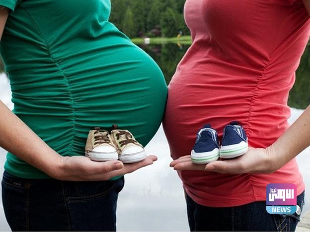 84C49E35 B3FC 4196 8674 0A28D4A27425