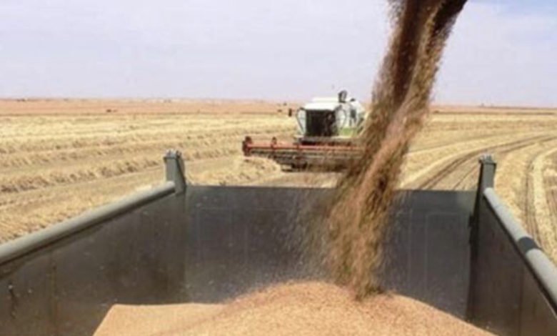 873953DD E410 4FA3 BDE3 DE5E4A6B70EE