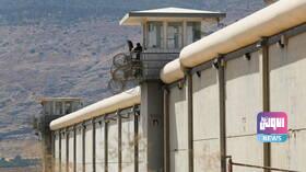 8A1D5316 FE6E 481E 897A CCE933557962