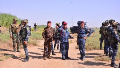 8D529FAA 56A4 491E AA80 39FC4CE64646