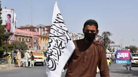 سيطرة طالبان على أفغانستان رفعت سعر الأفيون في السوق السوداء 5 9CDC43C9 3AE8 4F55 9F6F 8246CEDCCE55