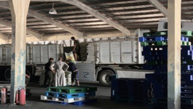 التجارة تكمل تجهيز مفردات السلة الغذائية بعموم العراق 5 AE75ECB1 CC6E 4816 AB66 52830B384554