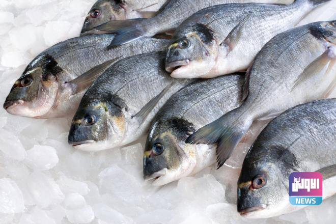 AF4560D4 E38D 4720 951C 719A8CDA026E