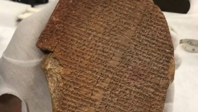 B0BA61E6 CC4C 43DB 953C 7224512927CB