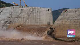 B1D2BDDB 982E 4ED6 9E72 1E5D8821C389