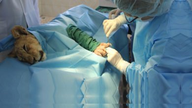 B89648CA F6E3 4882 9222 63C8ECC19DE6