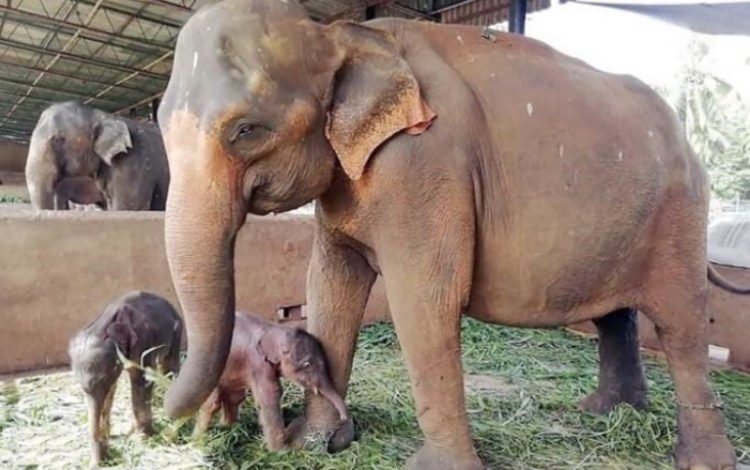 B96B91E3 4EE2 4805 9134 A06F56480D3C