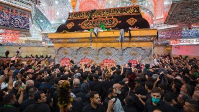 BF5F4997 5FCA 48AD A3C4 05E55D2CEA27