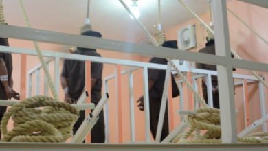 C84C1B95 172E 4A35 8457 2F80A8F48A0B