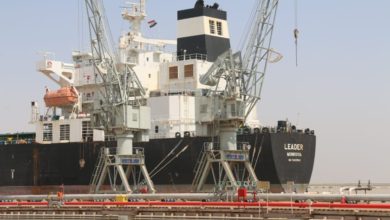 C951962C 505A 446E 8505 A771F08DF2E1