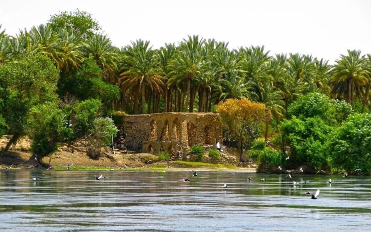 توقف خط تعزيز يتسبب بشحة مياه في مناطق بعقوبة 1 C9D9601A CBA3 4438 B7BB 54333996D797