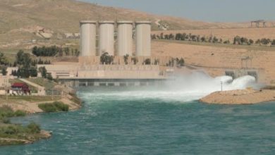 CB714C67 D361 41CF B0EB 57033EF2D0F8