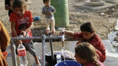 D2AE8668 526D 4601 924B 4B39D5F85AEC