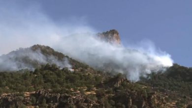 D6952480 BBCD 4206 8976 FEA37D7157BA