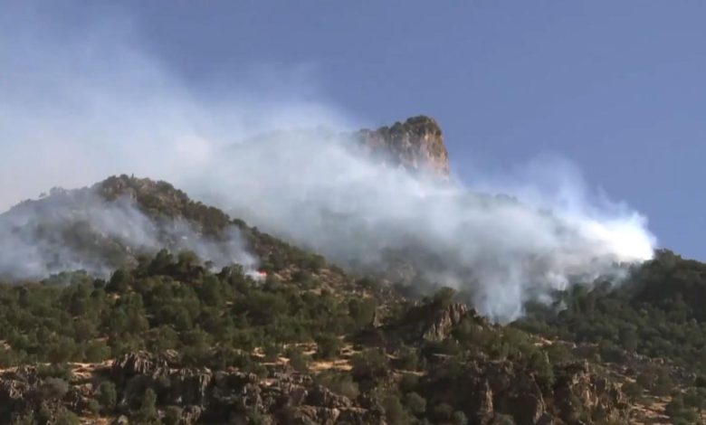 D6952480 BBCD 4206 8976 FEA37D7157BA