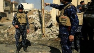 D7839B93 B781 4EAE 9D3C 9EA90B9B16FB