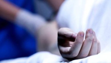 D8E764B8 05C6 49D7 B2BC C6F1EEA63347