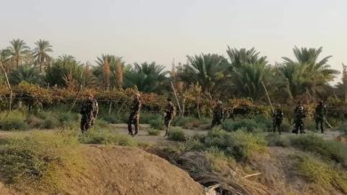 DB33DD71 B2D1 4787 BD95 E9D20B717511