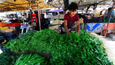 E04A799F E599 4B87 9A9A FA13646A4C52