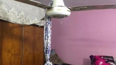 E812F7A2 A53C 4E19 9669 BAC1D869C32B