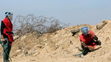 E858CB25 7B60 42F6 91E5 A56DCAB3F7DB