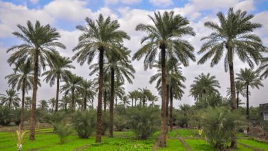 F37FABCD 4743 414F BD4E F1D9E7AD3045