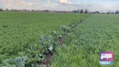 F67393E8 77D1 4CB9 A97D 6BAAEC28F18A