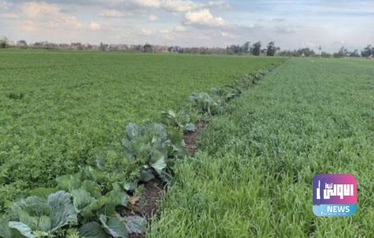 F67393E8 77D1 4CB9 A97D 6BAAEC28F18A